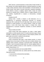 Diplomdarbs 'Uzņēmējdarbības perspektīvas Rēzeknes novadā', 53.