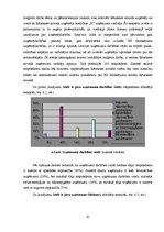 Diplomdarbs 'Uzņēmējdarbības perspektīvas Rēzeknes novadā', 61.
