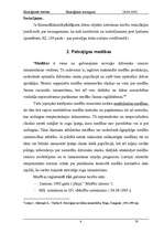 Referāts 'Ekoloģiskie noziegumi - patvaļīgas medības', 6.