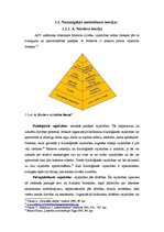 Referāts 'Motivācija, tās būtība un nozīmīgākās teorijas', 4.