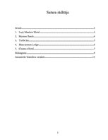 Konspekts 'Interesantākās slavenību viesnīcas', 2.