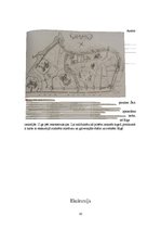 Konspekts 'Rīga viduslaikos. Fortifikācijas', 10.