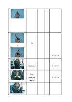 Diplomdarbs 'Communication and Nonverbal Communication', 62.