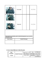 Diplomdarbs 'Communication and Nonverbal Communication', 63.