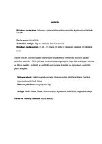 Referāts 'Līdzsvara izjūtas attīstība ar fitbola bumbām ārpusstundu nodarbībās 2.klasē', 2.