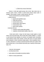 Referāts 'Līdzsvara izjūtas attīstība ar fitbola bumbām ārpusstundu nodarbībās 2.klasē', 9.