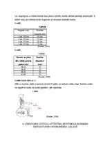 Referāts 'Līdzsvara izjūtas attīstība ar fitbola bumbām ārpusstundu nodarbībās 2.klasē', 17.