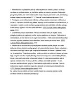 Referāts 'Līdzsvara izjūtas attīstība ar fitbola bumbām ārpusstundu nodarbībās 2.klasē', 20.