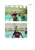 Referāts 'Līdzsvara izjūtas attīstība ar fitbola bumbām ārpusstundu nodarbībās 2.klasē', 42.