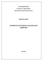 Diplomdarbs 'Korporatīvā atbildība multinacionālajos uzņēmumos', 1.