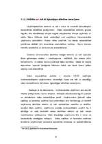 Diplomdarbs 'Korporatīvā atbildība multinacionālajos uzņēmumos', 26.