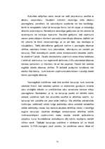 Diplomdarbs 'Korporatīvā atbildība multinacionālajos uzņēmumos', 32.