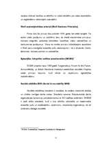 Diplomdarbs 'Korporatīvā atbildība multinacionālajos uzņēmumos', 51.