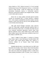 Diplomdarbs 'Korporatīvā atbildība multinacionālajos uzņēmumos', 55.