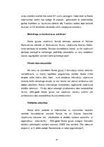 Diplomdarbs 'Korporatīvā atbildība multinacionālajos uzņēmumos', 67.