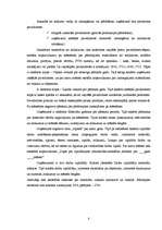 Prakses atskaite 'Kvalifikācijas prakse grāmatvedībā', 8.