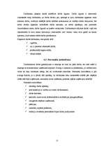 Prakses atskaite 'Kvalifikācijas prakse grāmatvedībā', 13.