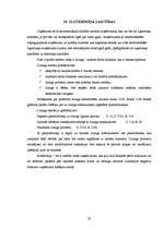 Prakses atskaite 'Kvalifikācijas prakse grāmatvedībā', 23.