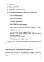 Referāts 'Gredzens', 6.
