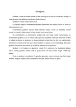 Referāts 'Gredzens', 10.