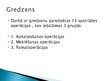 Referāts 'Gredzens', 25.
