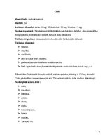 Referāts 'Minerālvielas', 4.