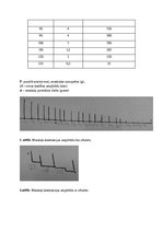 Paraugs 'Kontrakciju regulācija', 3.