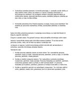 Prezentācija 'Kriminālā subkultūra', 2.