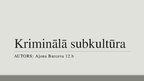 Prezentācija 'Kriminālā subkultūra', 3.