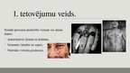 Prezentācija 'Kriminālā subkultūra', 12.