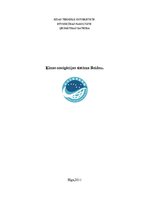 Referāts 'Ķīnas navigācijas sistēma', 1.