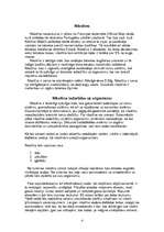 Referāts 'Nikotīnam nē!', 4.