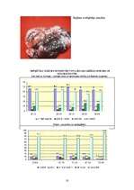 Referāts 'Nikotīnam nē!', 18.
