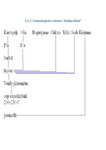 Referāts 'Latviešu un citu tautu ēdieni', 14.