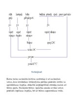 Referāts 'Latviešu un citu tautu ēdieni', 22.