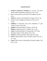 Referāts 'Rotaļa - bērna vadošā darbība', 17.