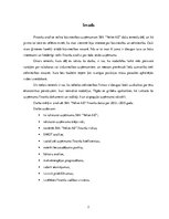 Referāts 'SIA "Velve-AE" finanšu analīze', 2.