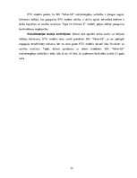 Referāts 'SIA "Velve-AE" finanšu analīze', 22.