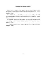 Referāts 'SIA "Velve-AE" finanšu analīze', 25.