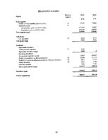 Referāts 'SIA "Velve-AE" finanšu analīze', 28.