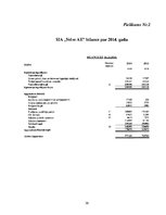 Referāts 'SIA "Velve-AE" finanšu analīze', 30.