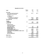 Referāts 'SIA "Velve-AE" finanšu analīze', 31.