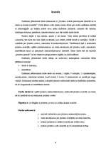 Referāts 'Printeru izvēles pamatojums atkarībā no to drukas kvalitātes un cenas', 4.