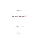 Referāts 'Kurzemes hercogiste', 9.