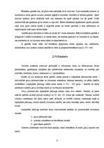 Referāts 'Piensaimniecība, piena kvalitātes un izslaukuma maiņa atkarībā no barības un cil', 13.