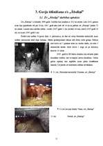 Referāts 'Piensaimniecība, piena kvalitātes un izslaukuma maiņa atkarībā no barības un cil', 15.