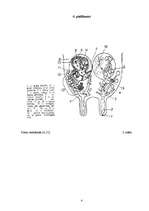 Referāts 'Piensaimniecība, piena kvalitātes un izslaukuma maiņa atkarībā no barības un cil', 58.