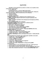 Referāts 'Sintakses rokasgrāmata dzimtajā valodā', 4.