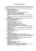 Referāts 'Sintakses rokasgrāmata dzimtajā valodā', 15.