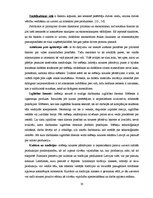 Diplomdarbs 'Mēbeļu tirgus novērtējums un attīstība Latvijā', 33.